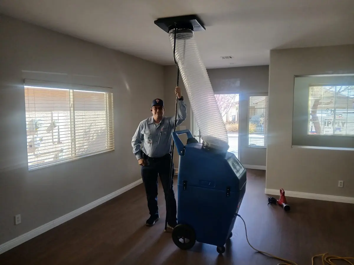 Professional Dryer Vent Cleaning work inside a Erwin home